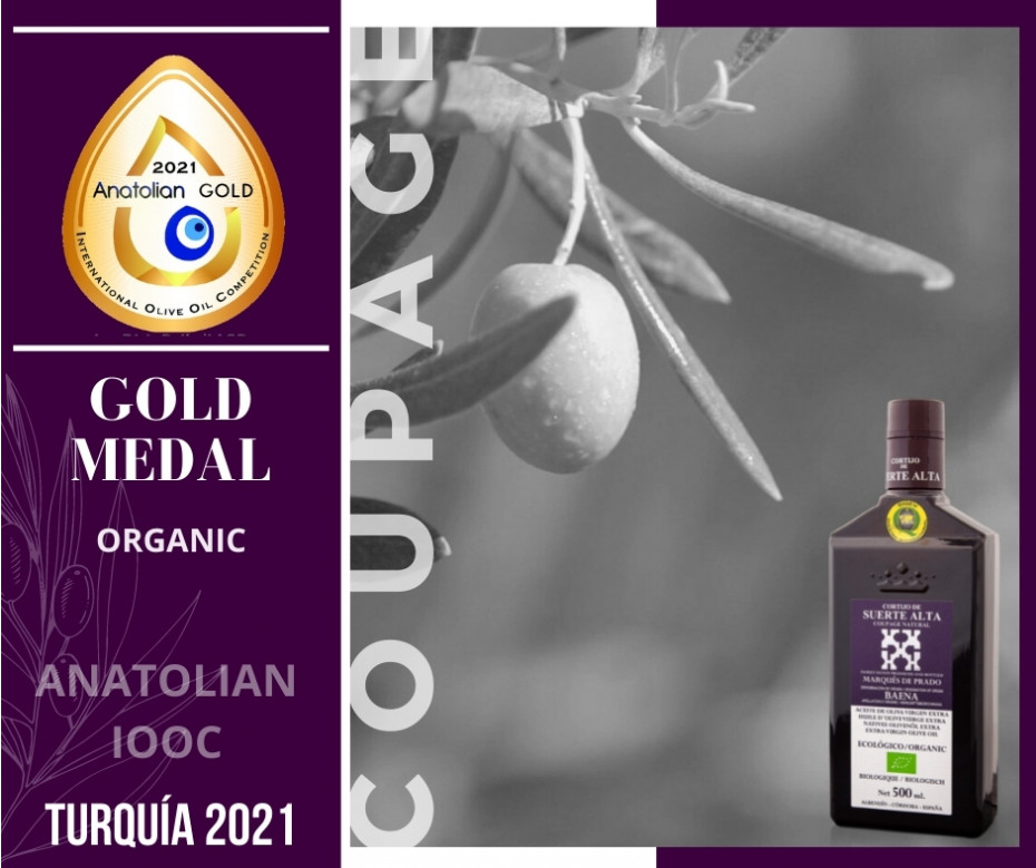 Coupage Natural galardonado en Anatolian IOOC Turquia 2021
